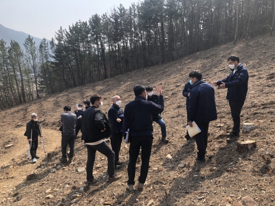 소나무재선충병 방제 컨설팅팀 운영