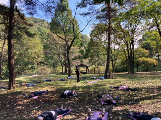 산림교육원, 업무상 스트레스 직군 대상 ‘숲속힐링과정’ 운영
