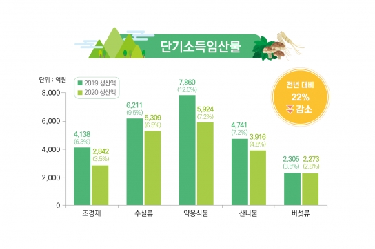 단기소득임산물 생산량 전년 대비 22% 감소