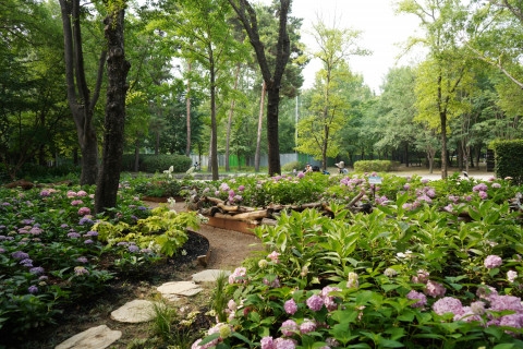 서울그린트러스트, 신한금융투자와 서울숲에 두 번째 ‘느린 산책의 정원’ 조성