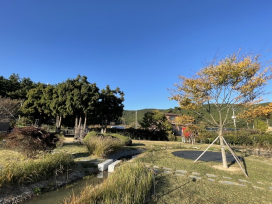 다니고 싶은 우수 학교숲 6곳 선정