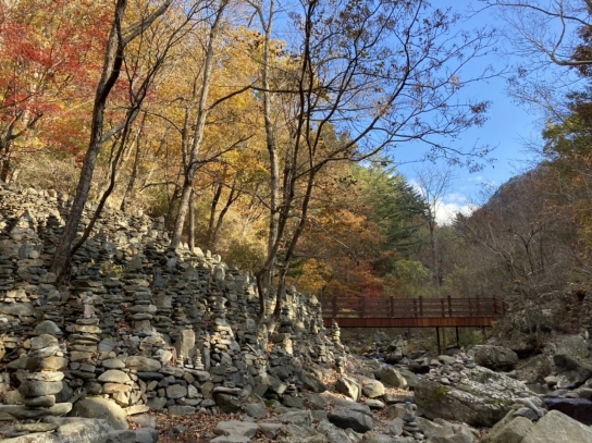 가을, 노추산 삼천 모정탑길을 걷다