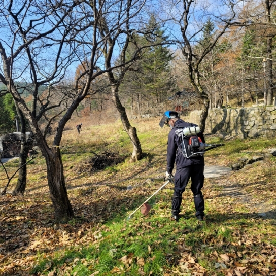평창국유림관리소, 산림인접지 인화물질 사전 제거