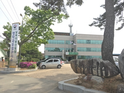 영덕국유림관리소, 규제혁신 현장지원센터 연중 운영