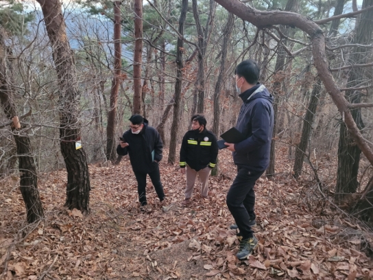한국임업진흥원, 소나무재선충병 방제품질점검 실시