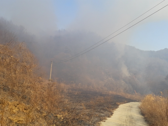 경북 봉화군 물야면 산불 발생... 산림당국 진화중