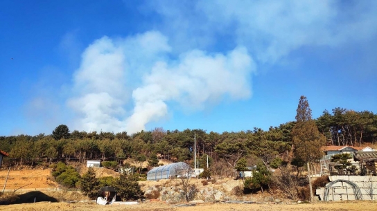강원 춘천시 동면 산불, 50여분만에 진화완료