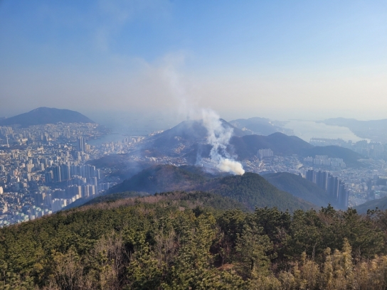 부산 서구 산불 발생... 산림당국 진화중