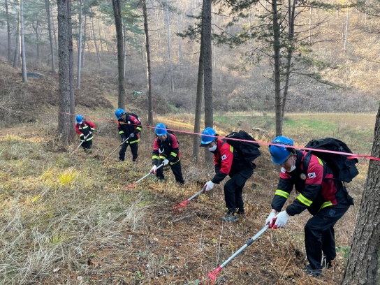 일자리 창출과 산불방지, 두 마리 토끼를 한번에 잡는다!