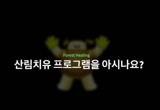 영상으로 떠나보는 숲 여행, 치유와 활력을 체험하세요!