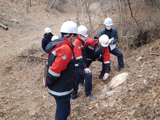 북부지방산림청장, 경기 남부권 소나무재선충병 방제사업 현장 점검