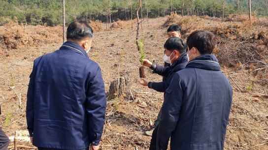 푸른숲 장흥군, 봄철 나무심기 한창