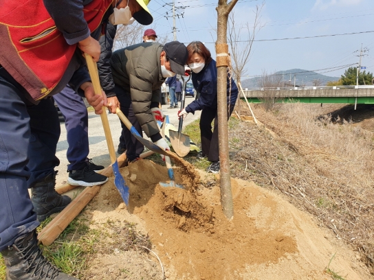 담양 창평면, 제77회 식목일 기념 ‘희망의 나무심기’ 행사 개최