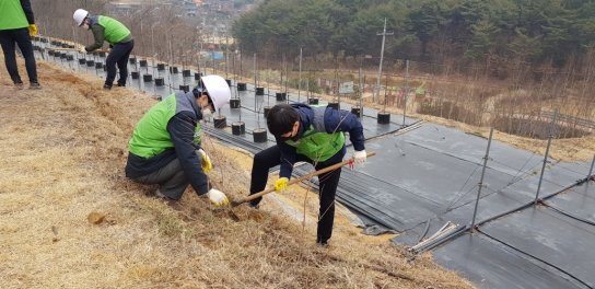 경남 진주에서 산림과학연구 100주년 기념 나무심기행사 개최
