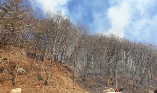 <1보> 경기도 양평군 산불발생.. 산림당국 진화중
