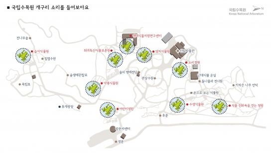 경칩 앞두고 봄을 알리는‘개구리 합창단’