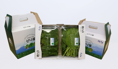산청군, 입맛 돋우는 '산나물꾸러미' 판매 개시