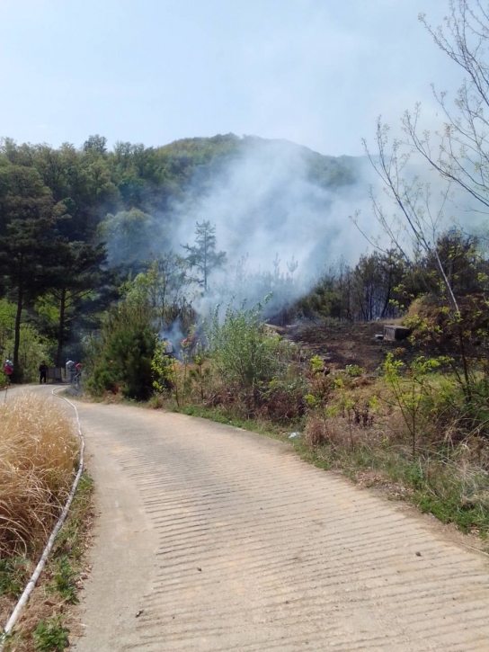 <완료> 대구 북구 산불... 37분 만에 진화완료