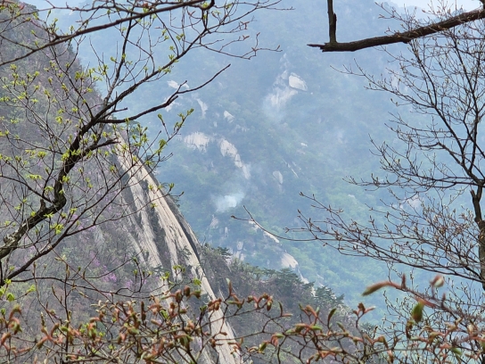 <1보> 북한산 산불발생... 산림당국 진화중