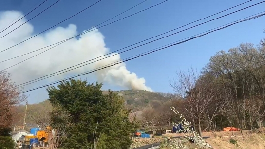 <1보> 인천 강화 산불발생... 산림당국 진화중