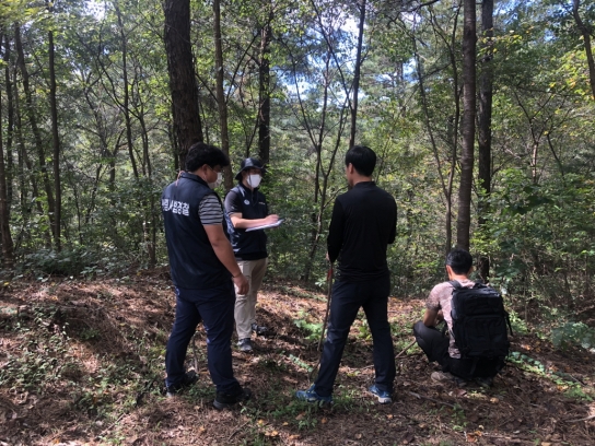 산나물, 산약초 함부로 채취하면 안돼요!