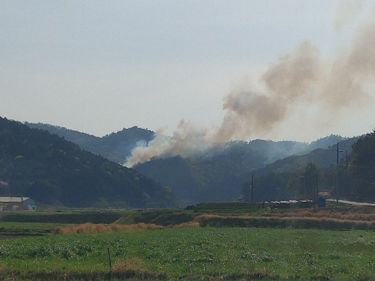 <1보> 전남 보성군 산불발생... 산림당국 진화중
