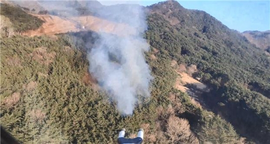 <1보> 전북 고창 산불발생... 산림당국 진화중