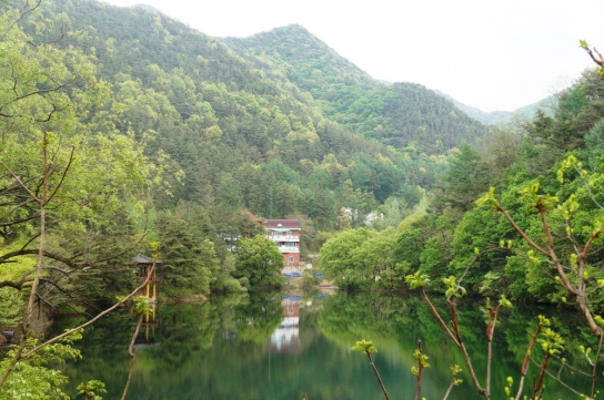 국립자연휴양림, 아동복지를 위한 산림휴양서비스 지원