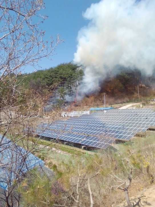 <1보> 강원 인제 산불발생... 산림당국 진화중