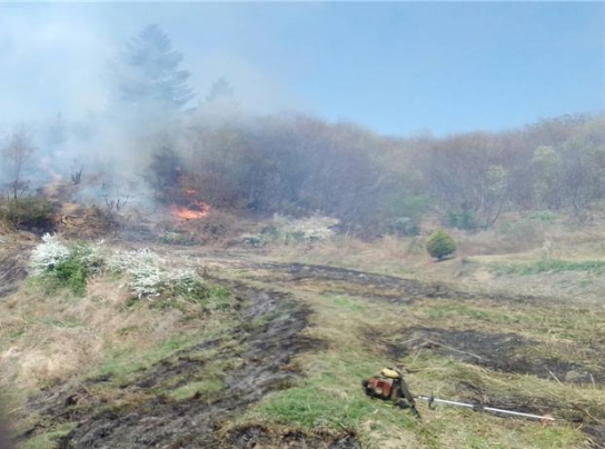 <완료> 전북 남원 산불... 22분여 만에 진화완료