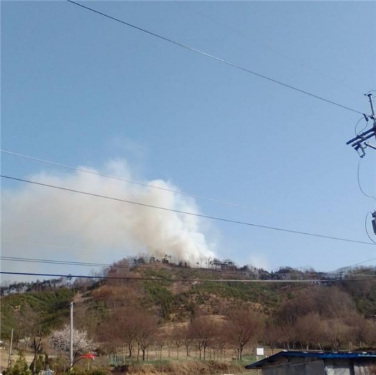 충남 계룡시 산불발생... 산림당국 진화중
