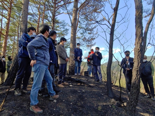 울진­삼척 산불피해지 생태계 회복을 위한 방안 모색