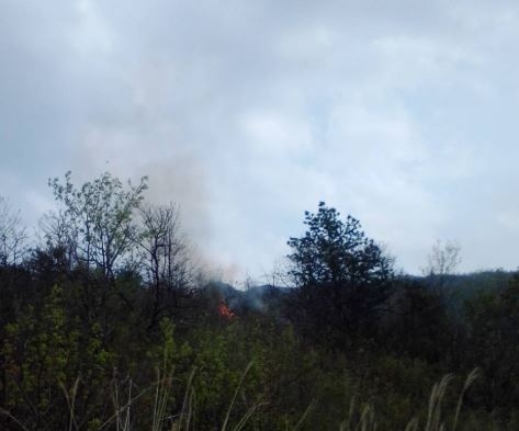 <1보> 충남 서산시 산불발생... 산림당국 진화중