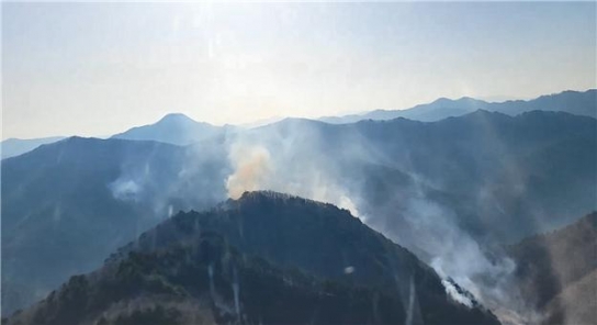 경북 봉화군 소천면 산불... 2시간 36분 만에 진화완료