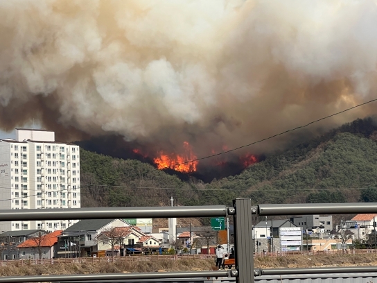 주말 전국적으로 37건의 산불 발생, 산림당국 총력 진화