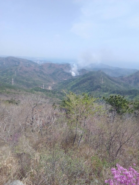 부산광역시 기장군 산불발생... 산림당국 진화중