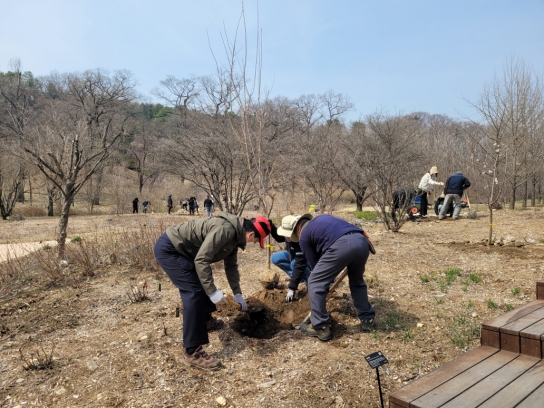 국립수목원, “제77회 식목일”나무심기 행사 개최