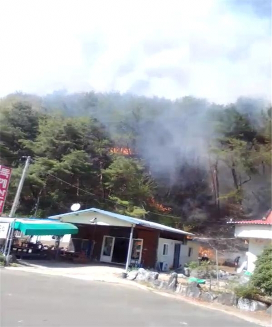 <1보> 경남 창녕 산불발생... 산림당국 진화중