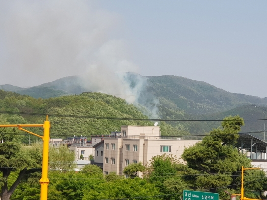 <완료> 경북 경주시 산불... 1시간 15여분 만에 진화 완료