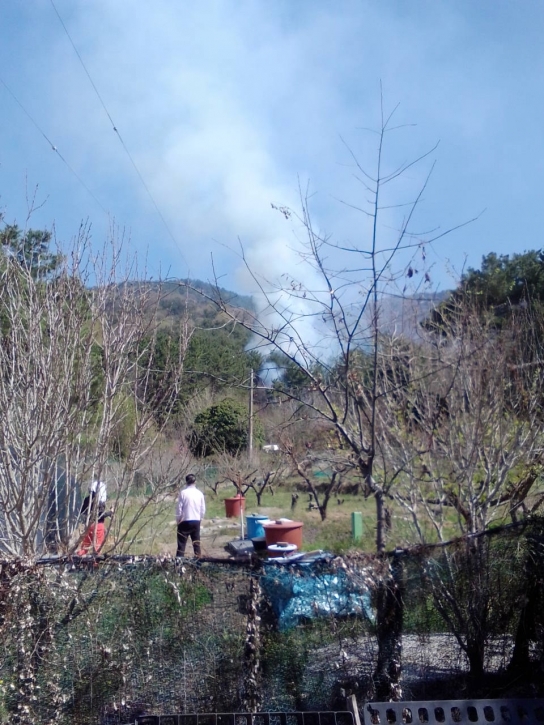 <1보> 경남 창원 산불발생... 산림당국 진화중