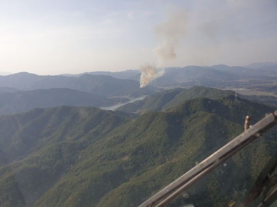 <1보>전남 순천시 산불발생 .. 산림당국 진화중