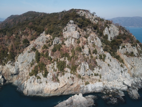 한국임업진흥원, 재선충병 실태 조사 도서지역까지 넓혀