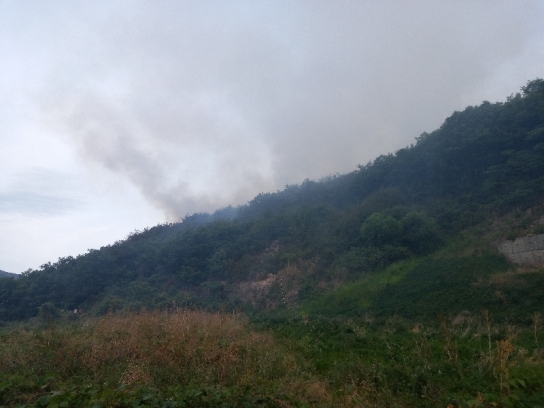 <완료> 경남 밀양 산불 1시간 57분만에 진화완료