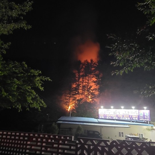 <1보> 전북 진안 야간산불 발생... 산림당국 진화중