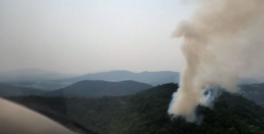 <1보> 경기 여주 산불 발생... 산림당국 진화중