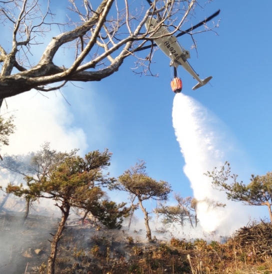 <완료> 경북 포항 산불, 산림당국 진화완료