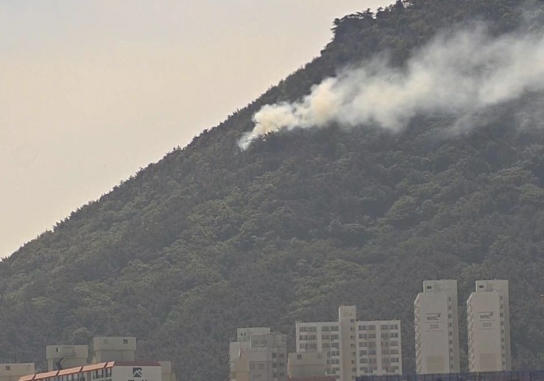 <1보> 부산 영도 산불 발생... 산림당국 진화중