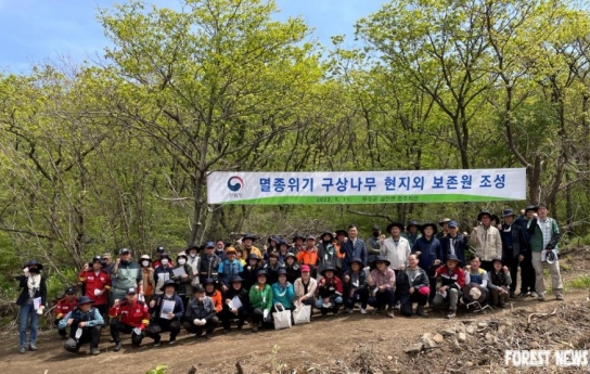 한국 고유 침엽수 구상나무, 멸종위기에서 구해낸다.