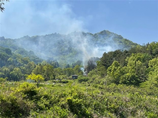 <1보> 전남 보성군 산불발생... 산림당국 진화중