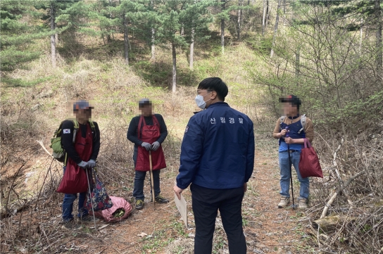 정선국유림관리소, 여름철 산림 내 불법행위 특별단속